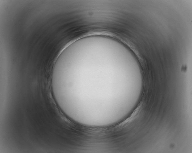 X0000103231369200808280939