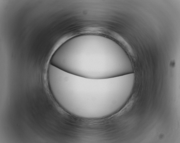 X0000103231370200808280939