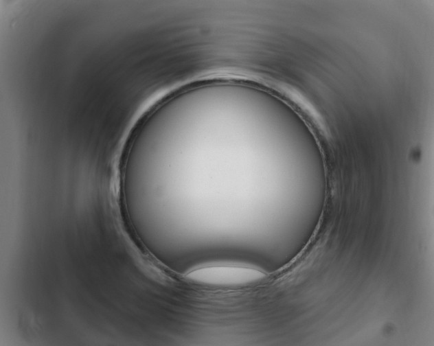 X0000103231372200808280939