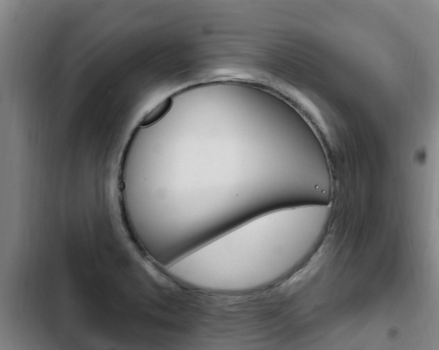 X0000103231373200808280939