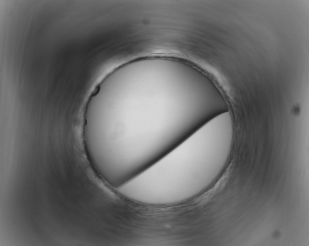 X0000103231374200808280939