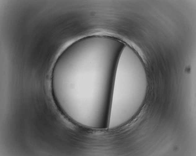 X0000103231375200808280939