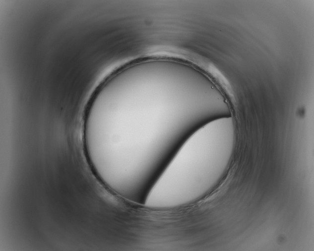 X0000103231376200808280939