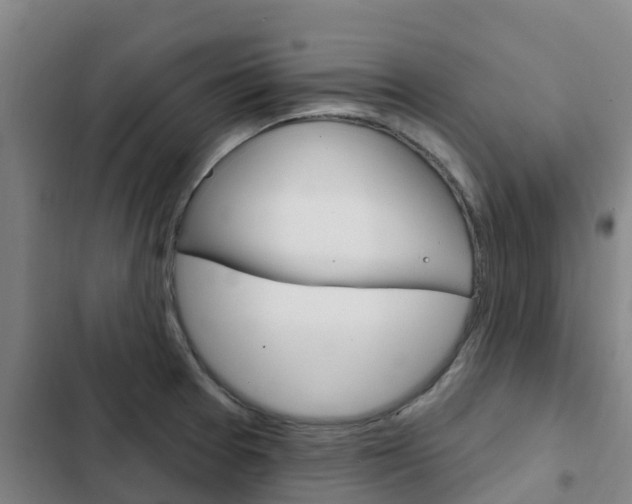 X0000103231377200808280939