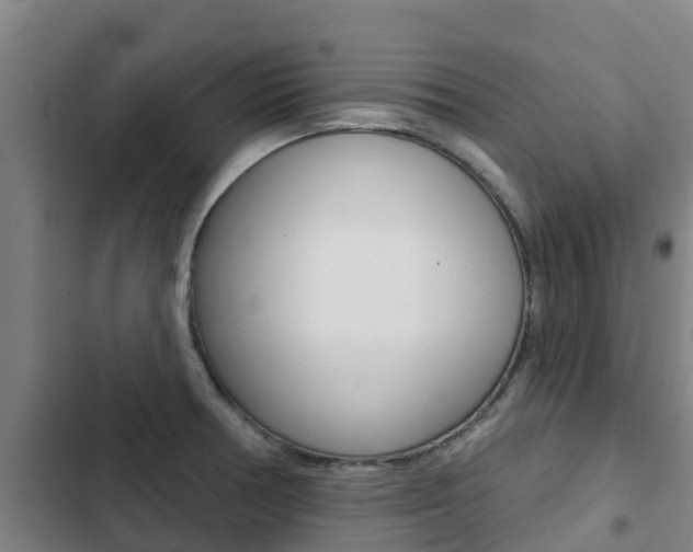 X0000103231378200808280939