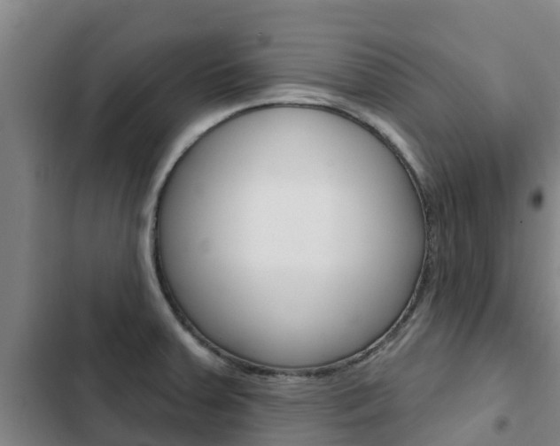 X0000103231379200808280939