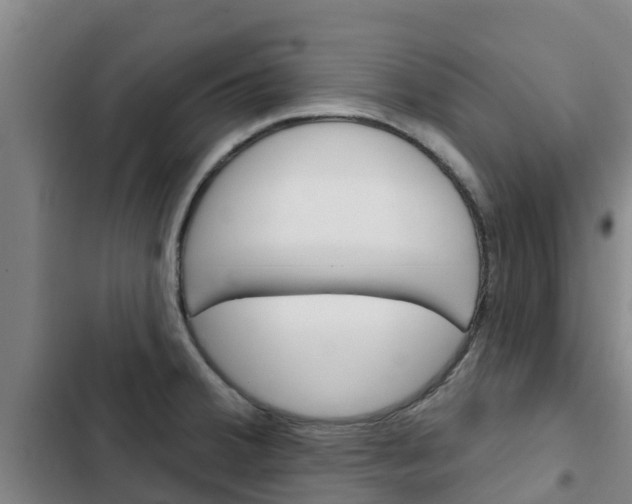 X0000103231380200808280939
