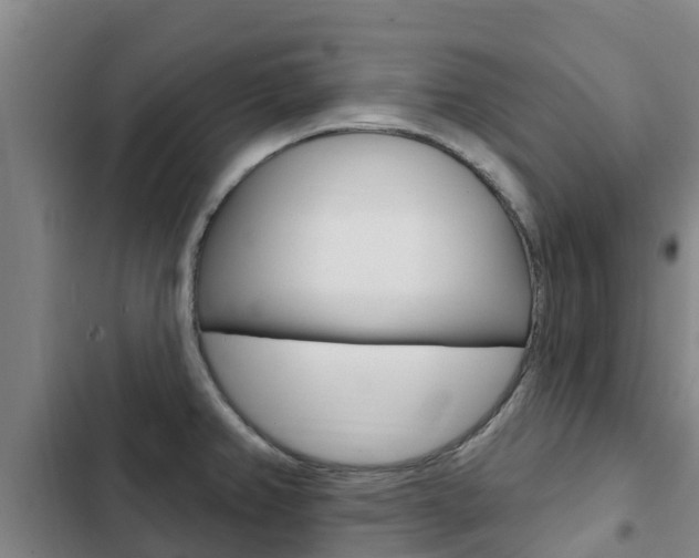 X0000103231382200808280939