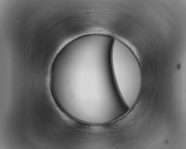 X0000103231383200808280939