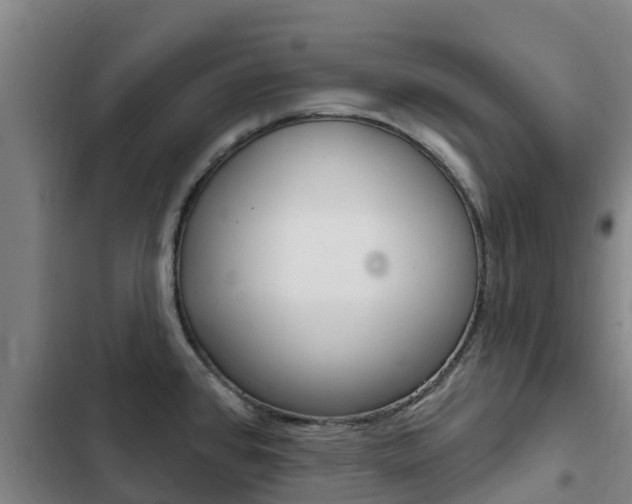 X0000103231384200808280939