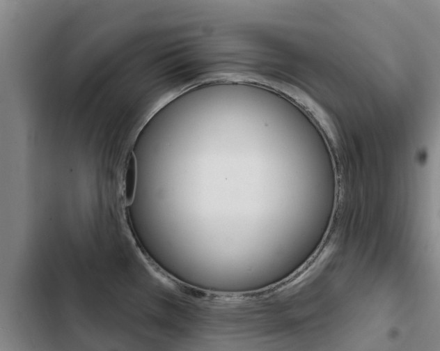 X0000103231385200808280939