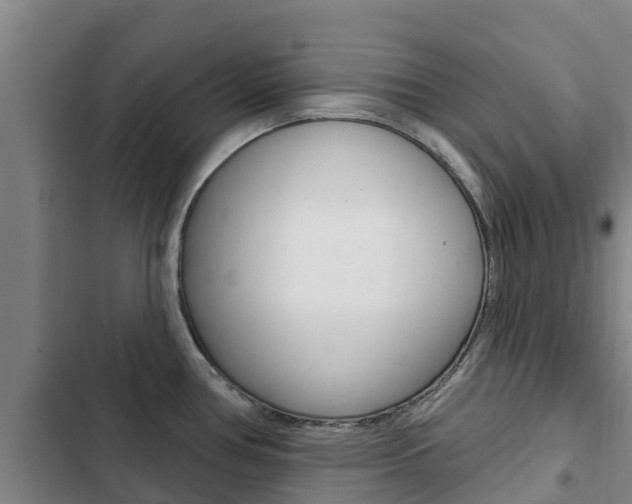 X0000103231386200808280939