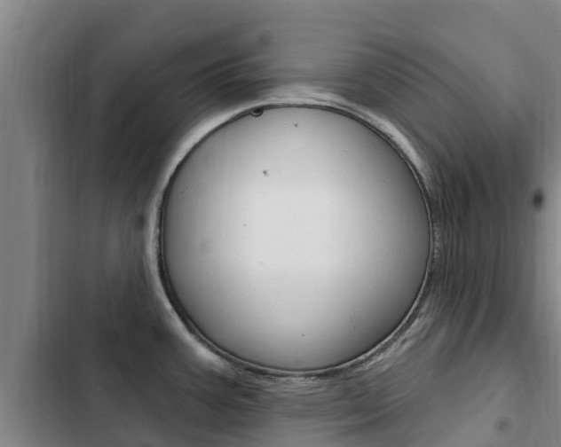 X0000103231387200808280939