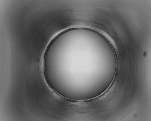 X0000103231388200808280939