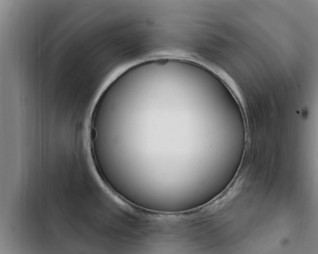 X0000103231389200808280939