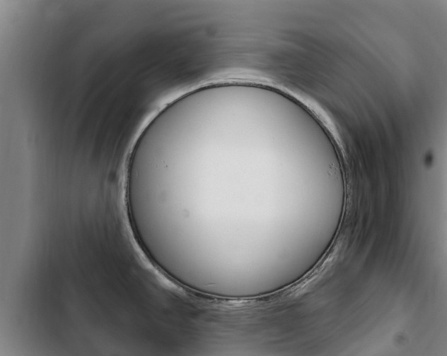 X0000103231390200808280939