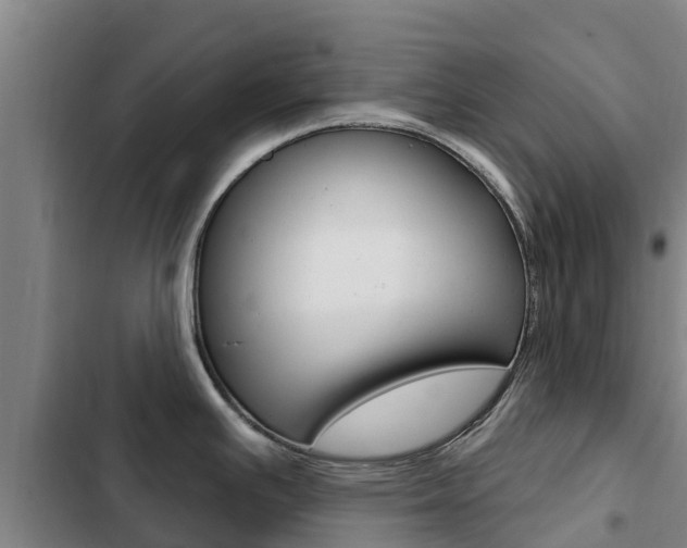 X0000103231391200808280939