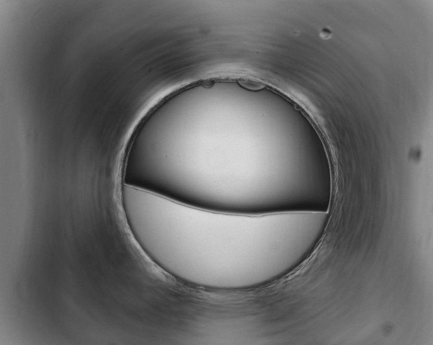 X0000103231392200808280939