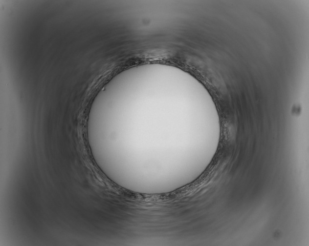 X0000103231393200808280938