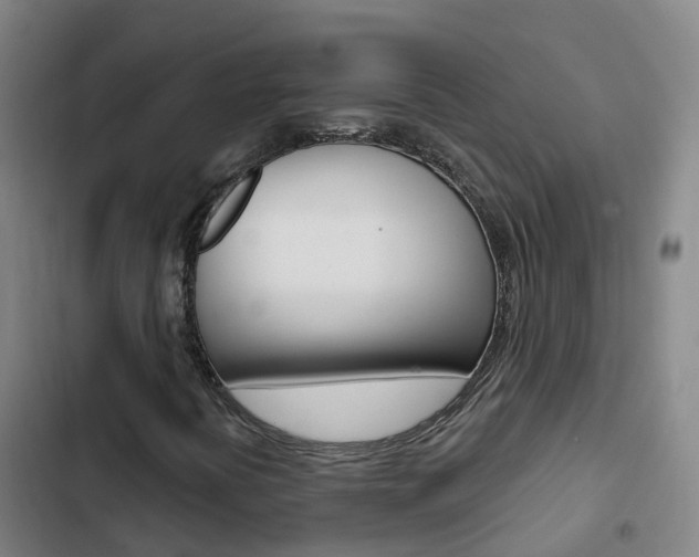 X0000103231394200808280938