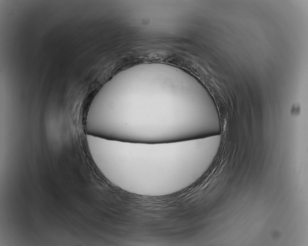 X0000103231395200808280938