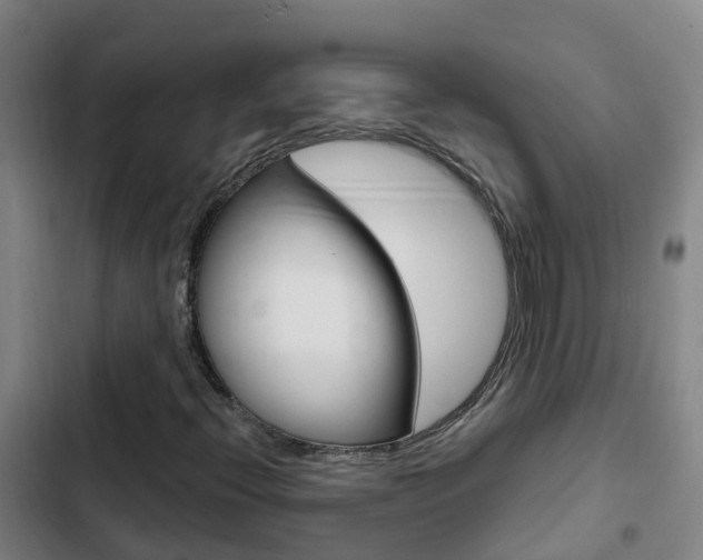 X0000103231396200808280938