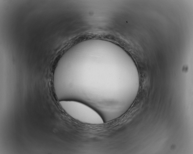 X0000103231397200808280938
