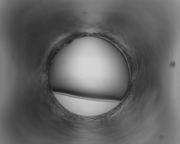 X0000103231398200808280938