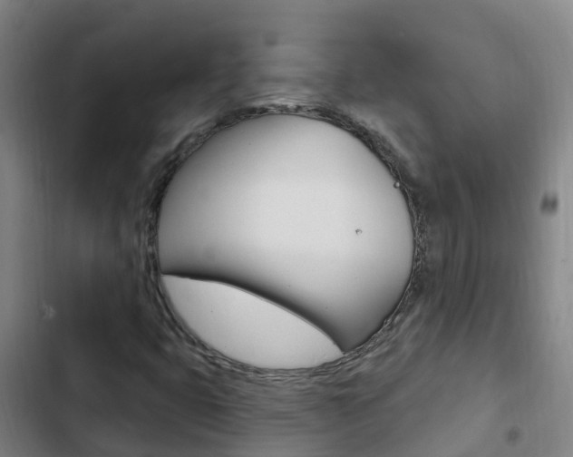 X0000103231399200808280938