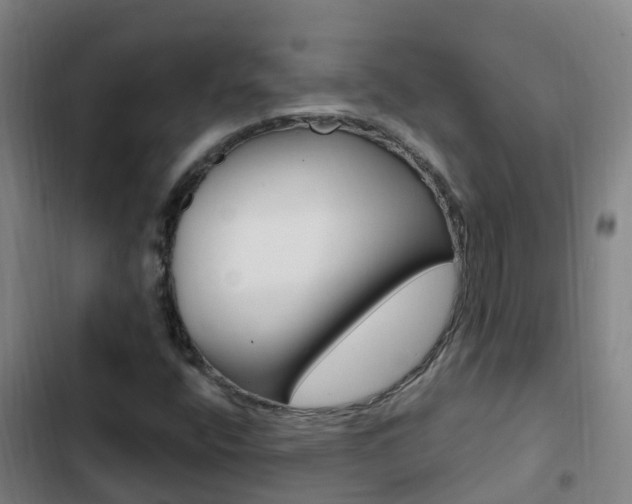 X0000103231400200808280938