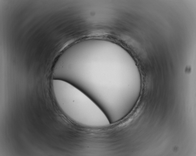 X0000103231401200808280938