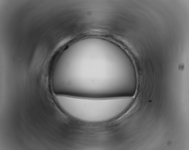 X0000103231402200808280938