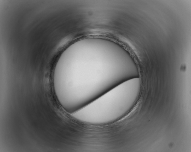 X0000103231403200808280938