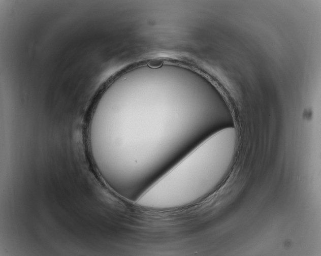 X0000103231404200808280938