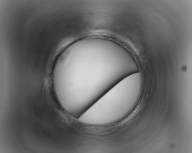 X0000103231405200808280938