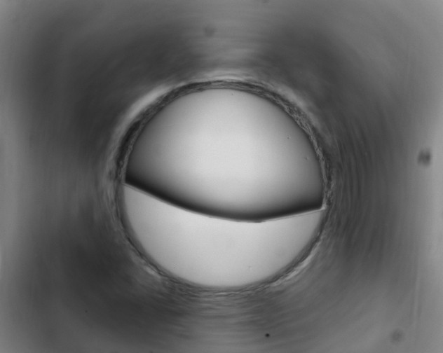 X0000103231406200808280939