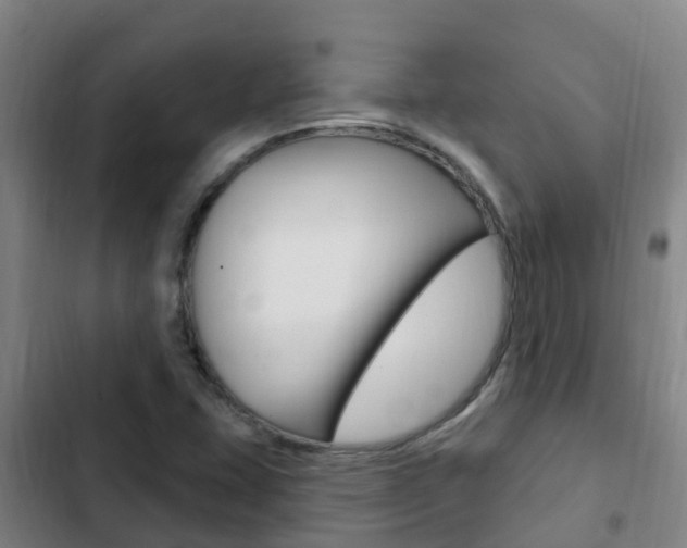 X0000103231407200808280939