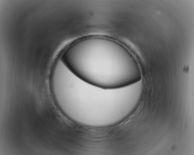 X0000103231408200808280939