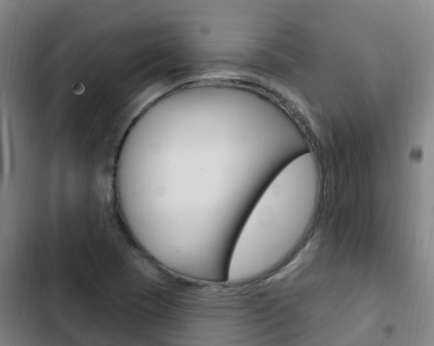 X0000103231409200808280939