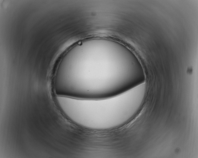 X0000103231410200808280939