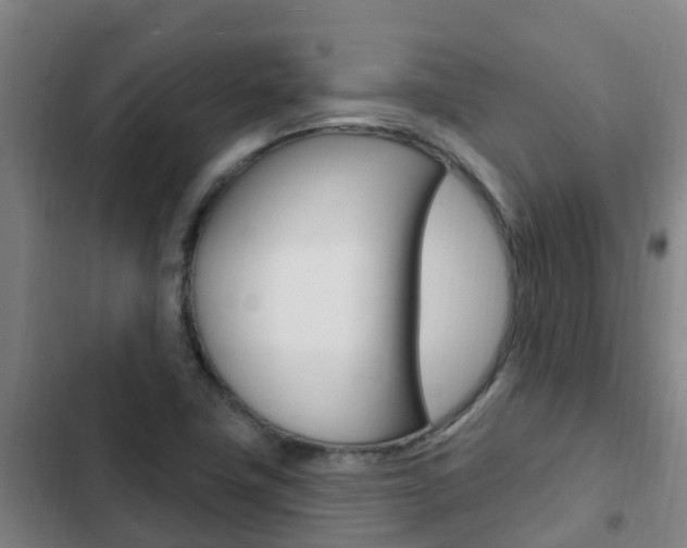 X0000103231411200808280939