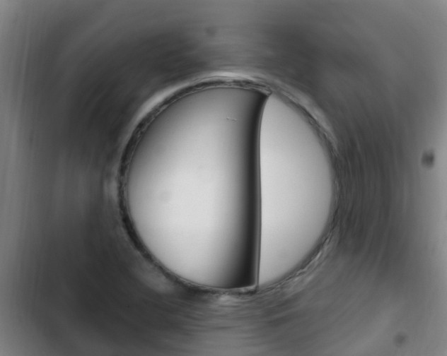X0000103231412200808280939