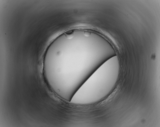X0000103231413200808280939