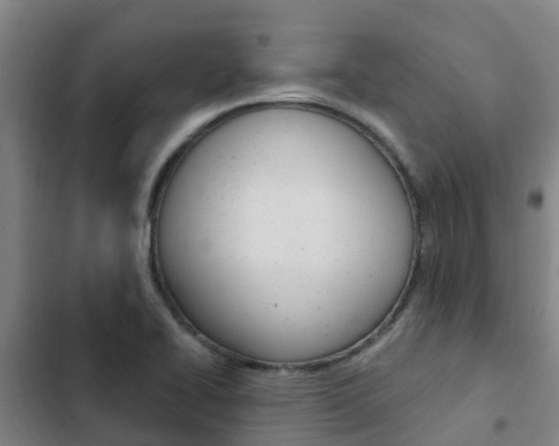 X0000103231414200808280939
