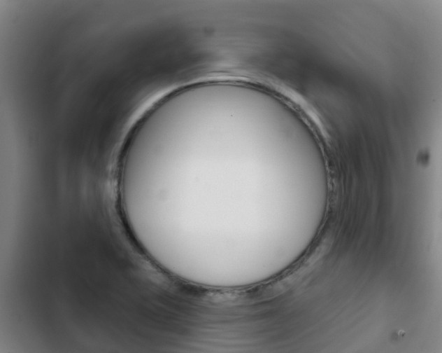 X0000103231415200808280939