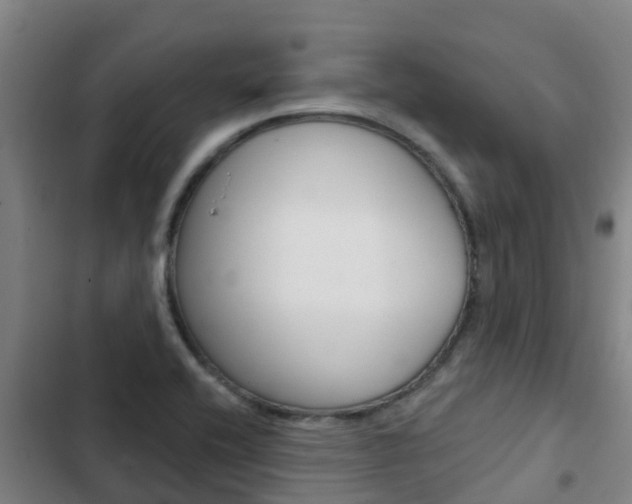 X0000103231416200808280939