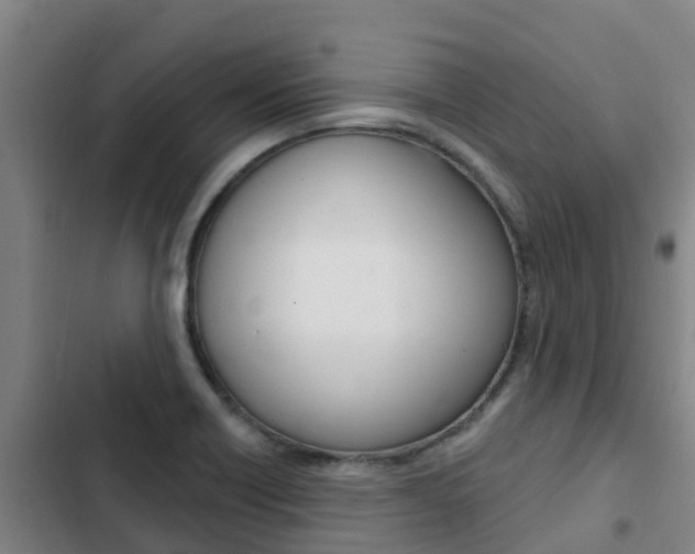 X0000103231418200808280939