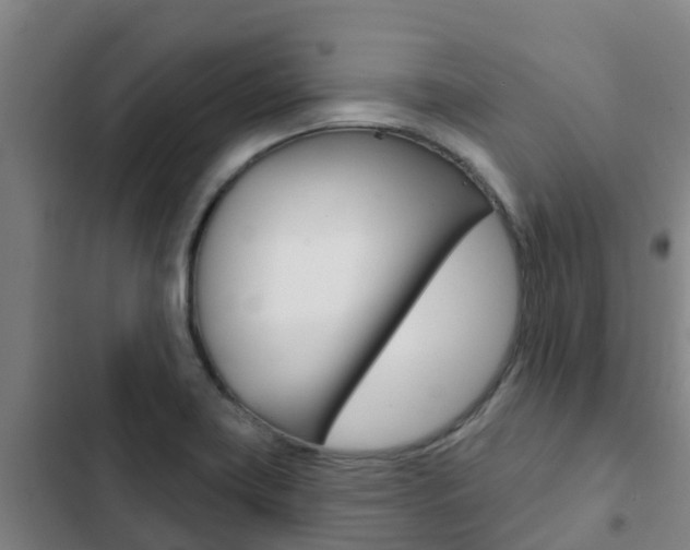 X0000103231419200808280939