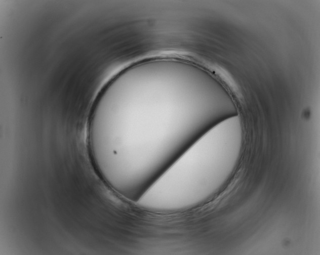 X0000103231420200808280939