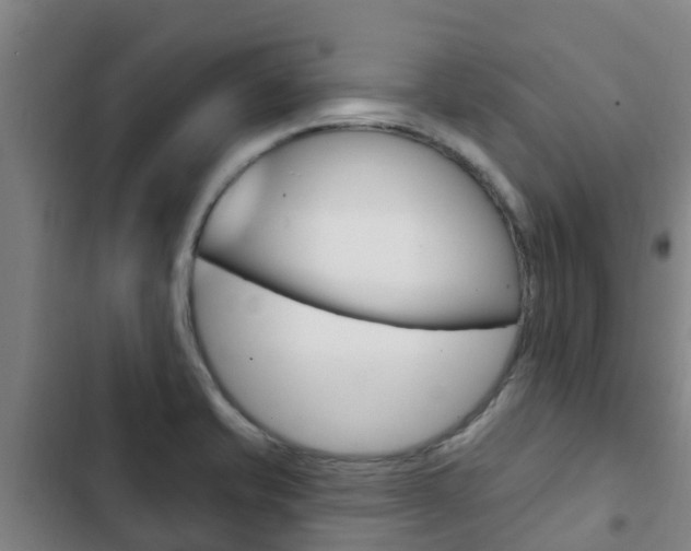 X0000103231421200808280939